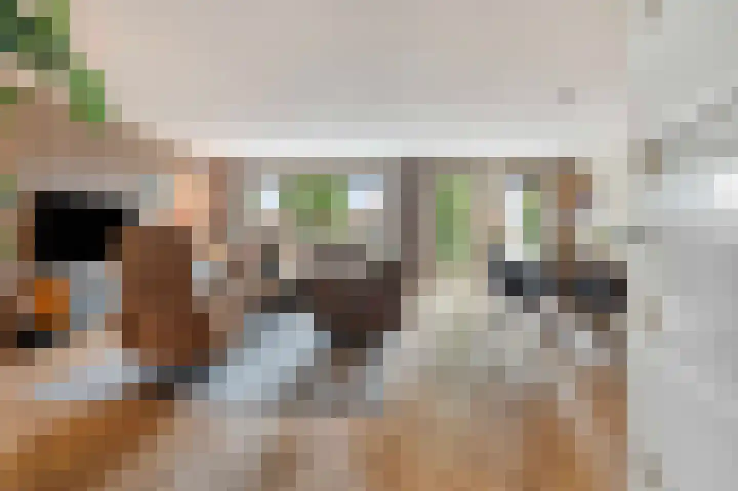 Jonagoldstraat 85 Nijmegen thumbnail 9
