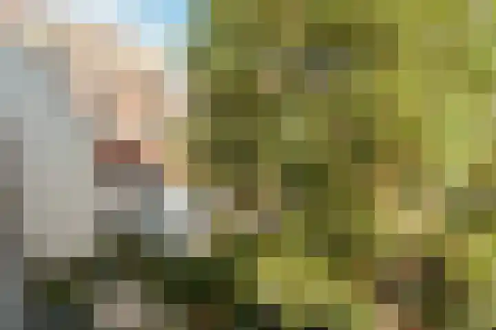 Jonas Daniël Meijerplein 21 O Amsterdam thumbnail 19