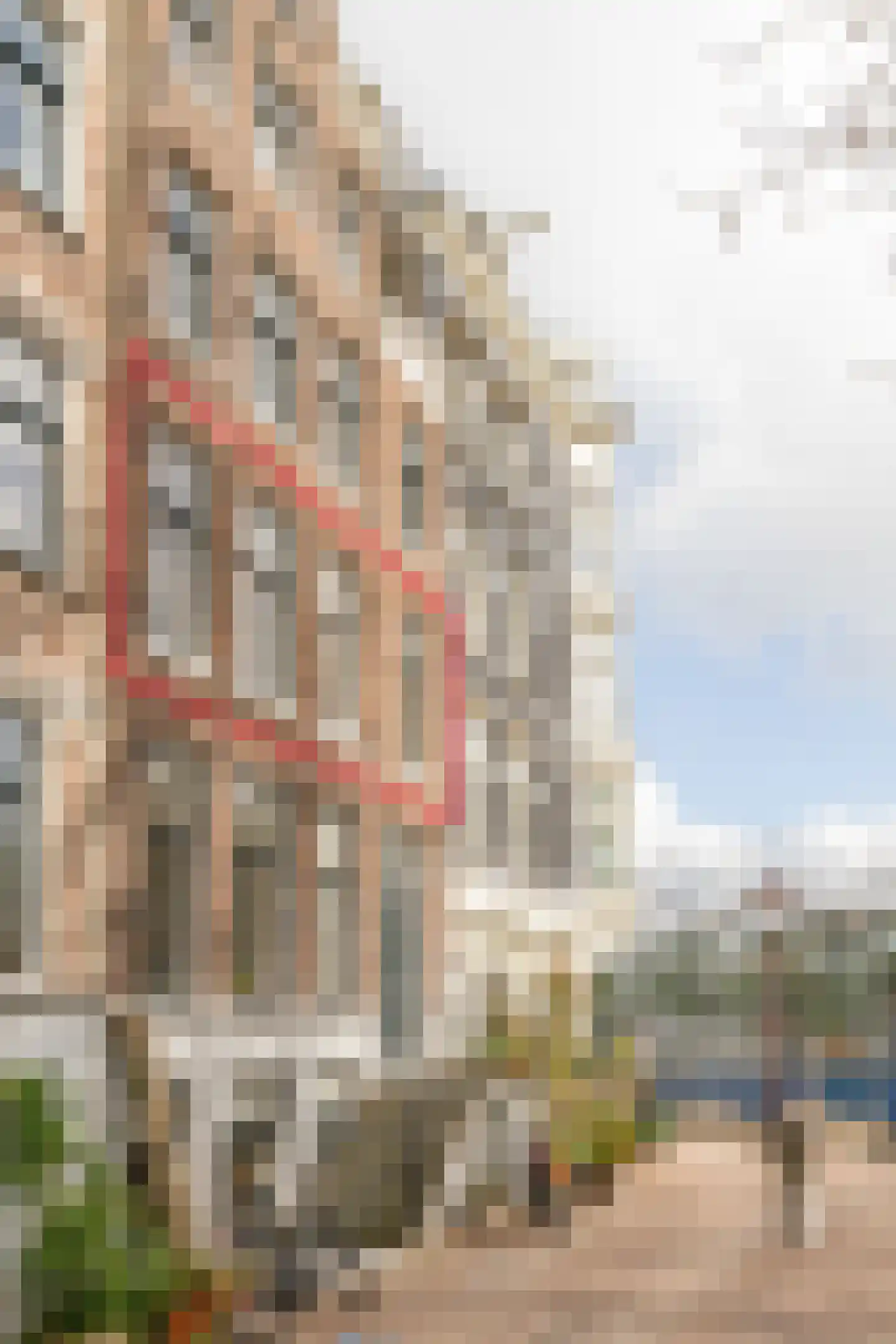 Jonas Daniël Meijerplein 25 C 1 Amsterdam foto 2