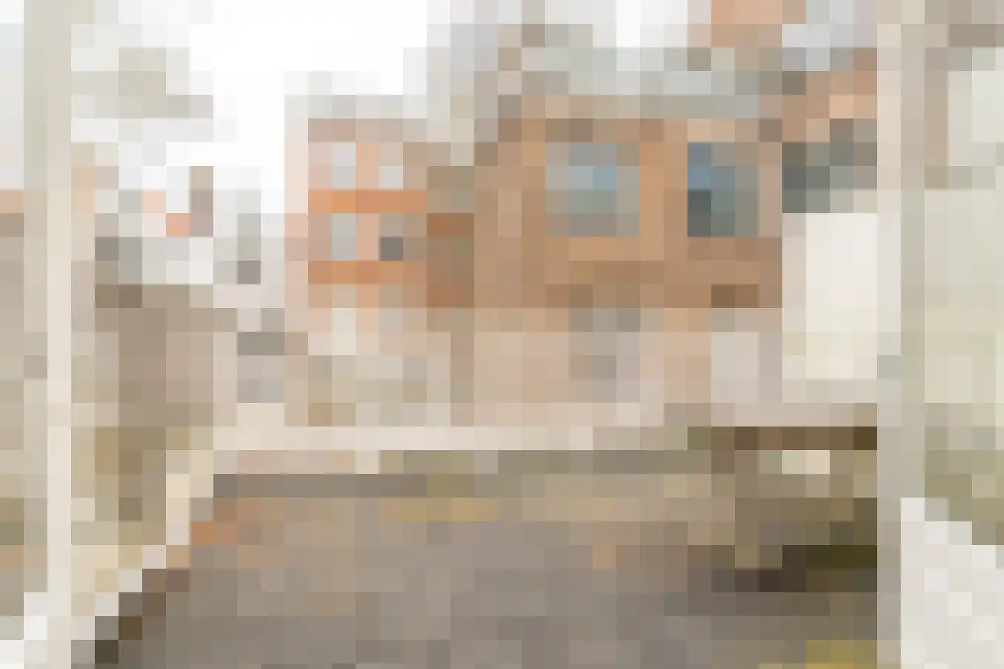 Jonas Daniël Meijerplein 25 C 1 Amsterdam thumbnail 20