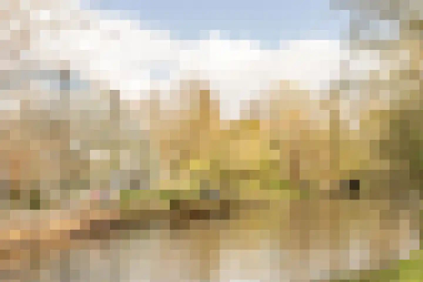Jonas Daniël Meijerplein 25 C 1 Amsterdam thumbnail 5