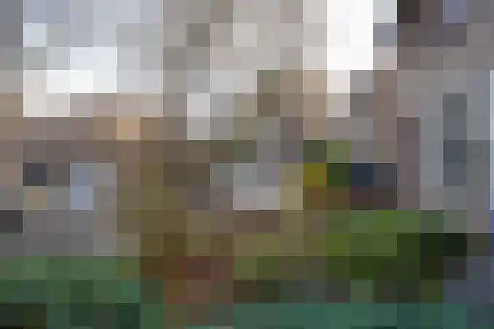 Jonasstraat 16 Geleen thumbnail 27