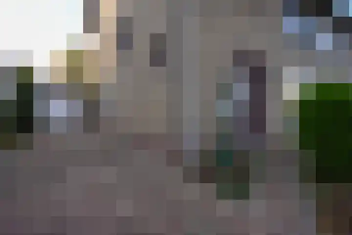 Jonasstraat 16 Geleen thumbnail 28