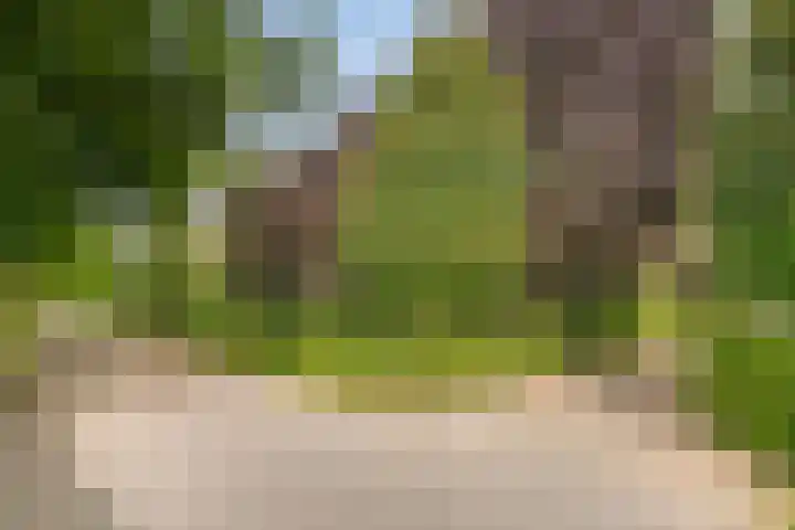 Jonasweg 55 Vaassen thumbnail 30