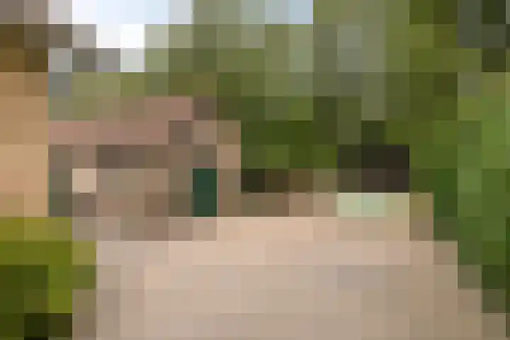 Jonasweg 55 Vaassen thumbnail 31