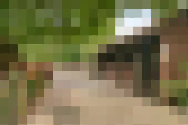 Jonasweg 55 Vaassen thumbnail 33