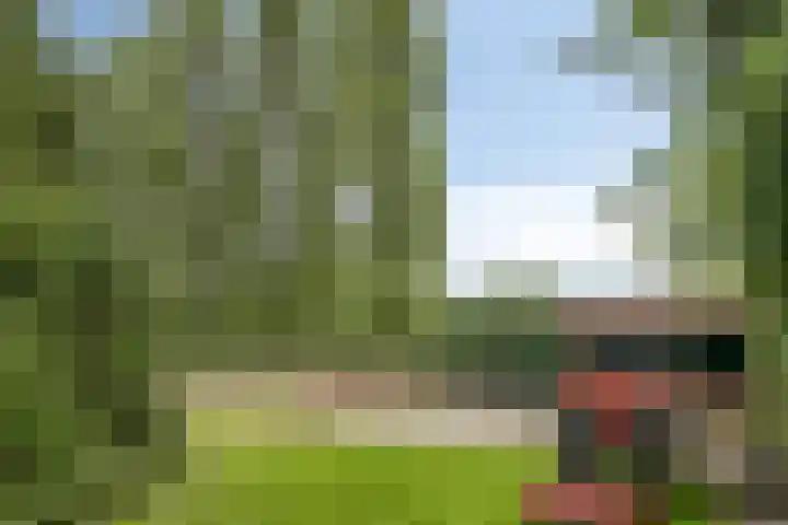 Jonasweg 55 Vaassen thumbnail 34