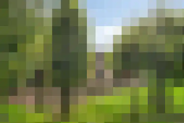 Jonasweg 55 Vaassen thumbnail 36