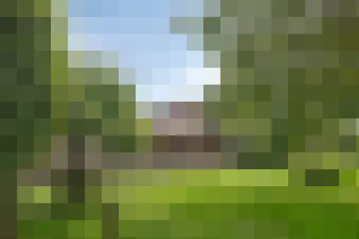 Jonasweg 55 Vaassen thumbnail 37