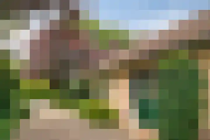 Jonasweg 55 Vaassen thumbnail 4