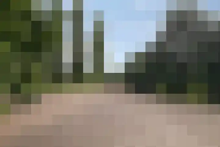Jonasweg 55 Vaassen thumbnail 42