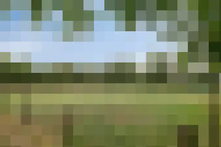 Jonasweg 55 Vaassen thumbnail 43