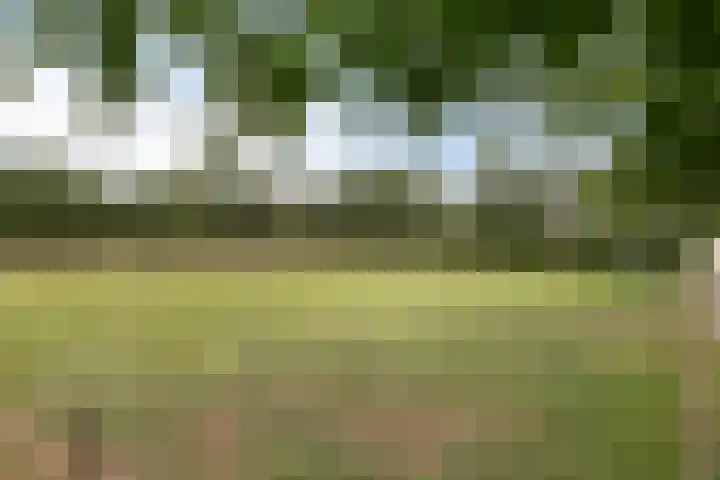 Jonasweg 55 Vaassen thumbnail 44