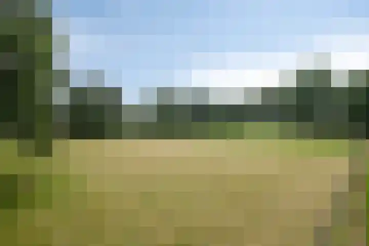 Jonasweg 55 Vaassen thumbnail 45