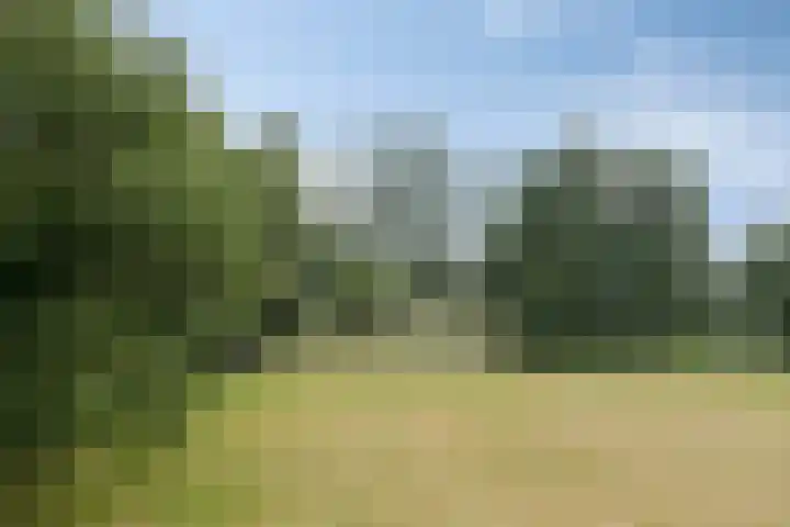 Jonasweg 55 Vaassen thumbnail 46