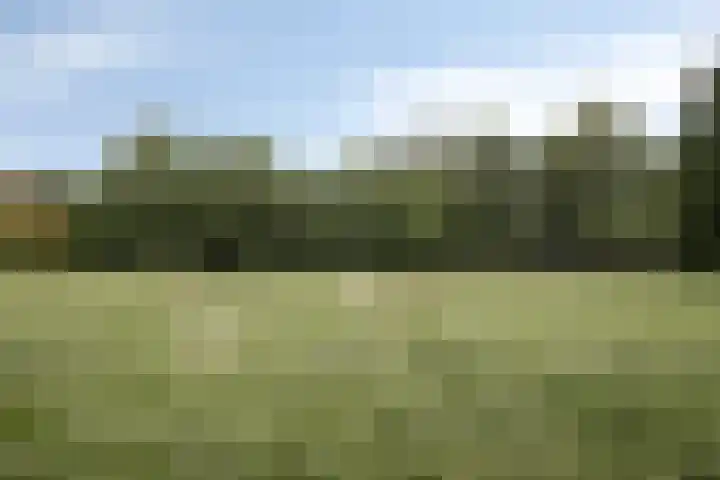 Jonasweg 55 Vaassen thumbnail 47