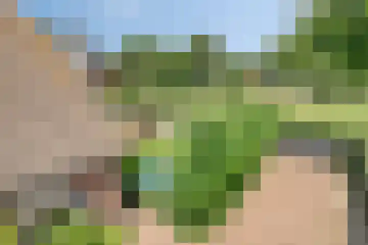 Jonasweg 8 Vaassen thumbnail 30