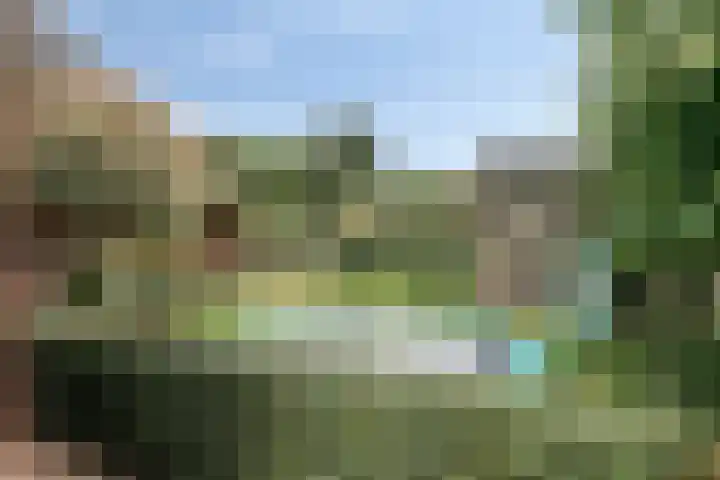 Jonasweg 8 Vaassen thumbnail 31