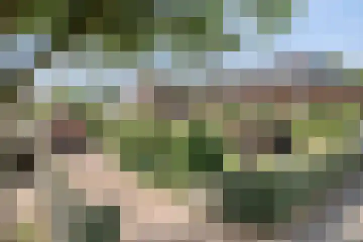 Jonasweg 8 Vaassen thumbnail 35