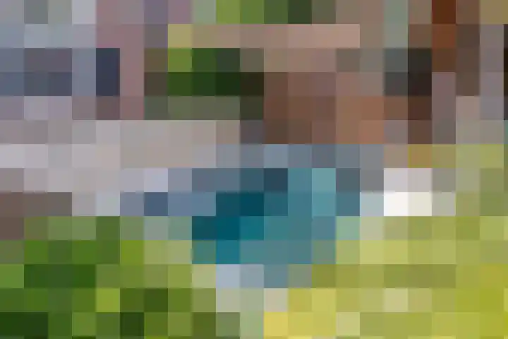 Jonasweg 8 Vaassen thumbnail 37