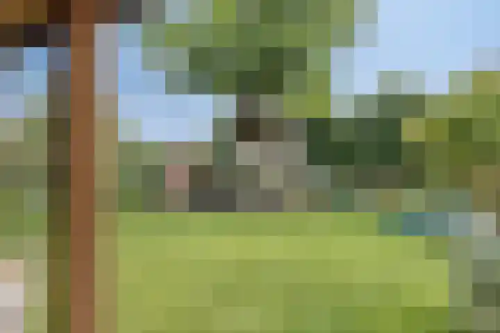 Jonasweg 8 Vaassen thumbnail 42
