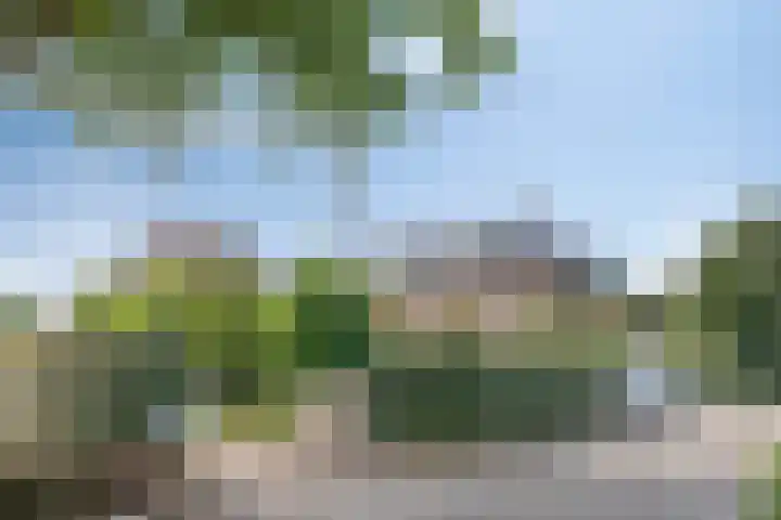 Jonasweg 8 Vaassen thumbnail 43