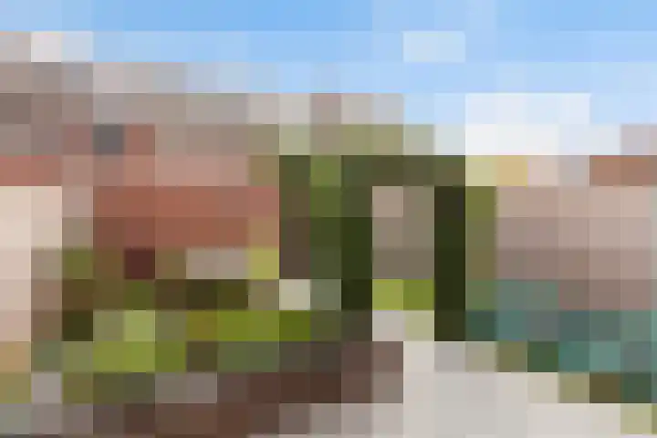 Jonathan 58 Hardinxveld-Giessendam thumbnail 30