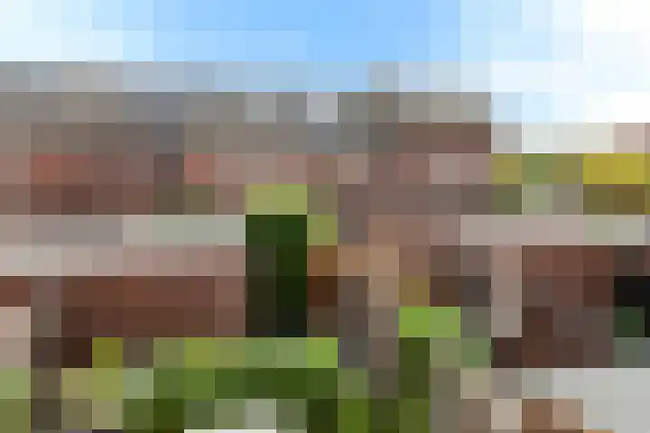 Jonathan 58 Hardinxveld-Giessendam thumbnail 34