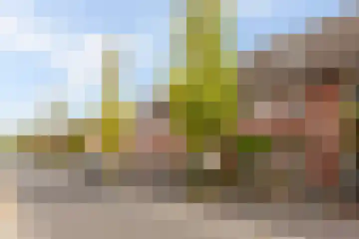 Jonathan 58 Hardinxveld-Giessendam thumbnail 35