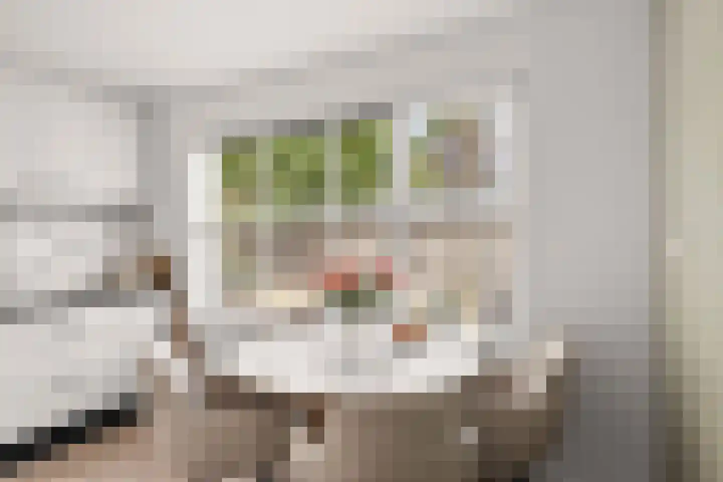 Jonathangaarde 20 Amersfoort thumbnail 20