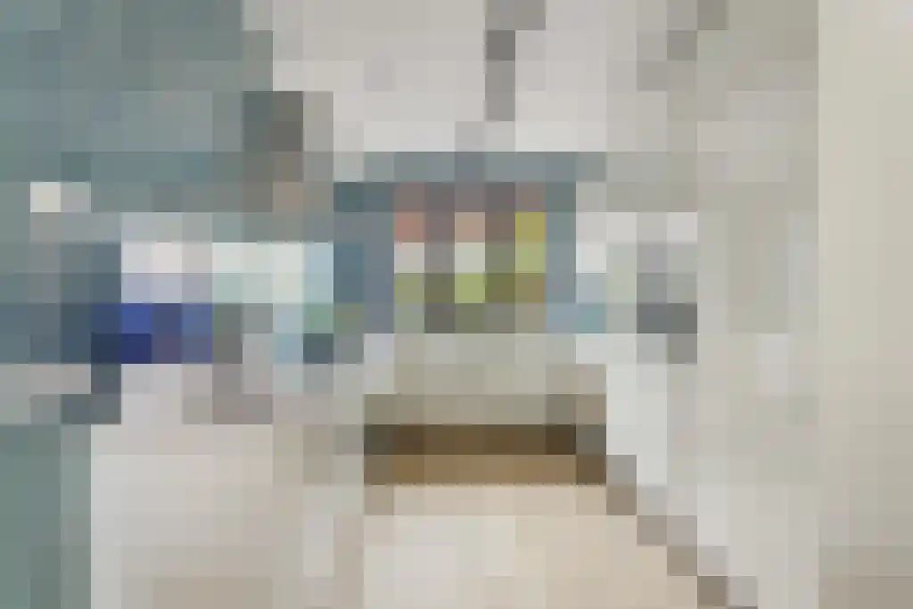 Jonathanhof 16 Amsterdam thumbnail 6