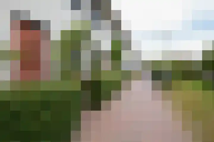 Jonathanhof 24 Amsterdam thumbnail 11