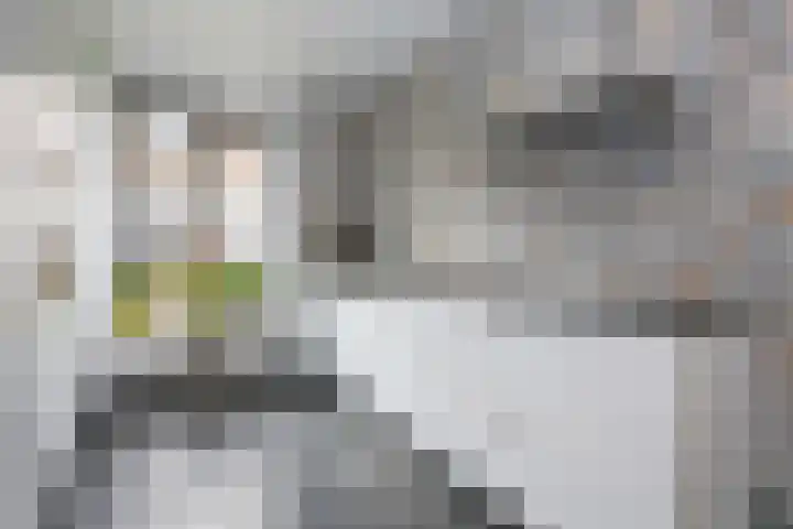 Jonathanhof 24 Amsterdam thumbnail 23