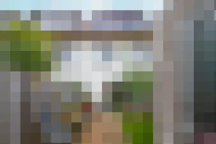 Jonathanhof 24 Amsterdam thumbnail 4