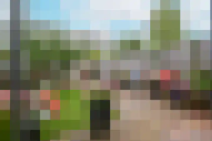 Jonathanhof 24 Amsterdam thumbnail 45