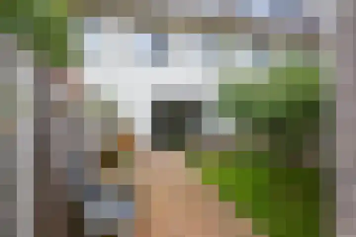 Jonathanhof 24 Amsterdam thumbnail 46