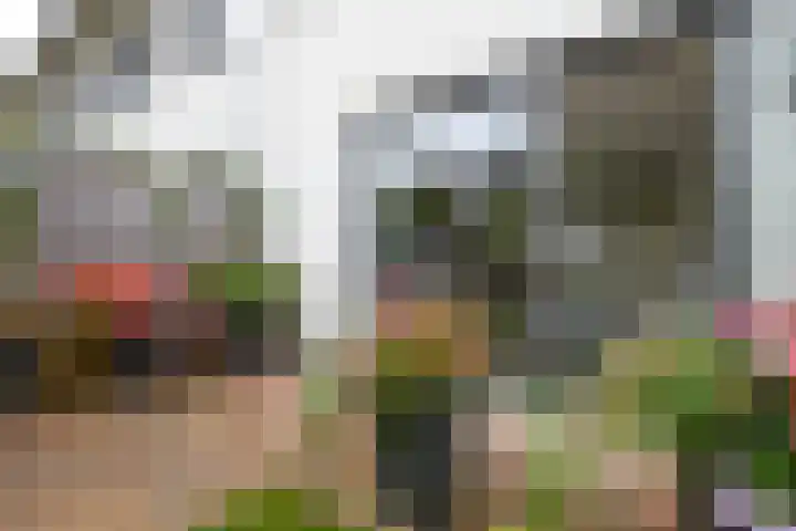 Jonathanhof 24 Amsterdam thumbnail 47