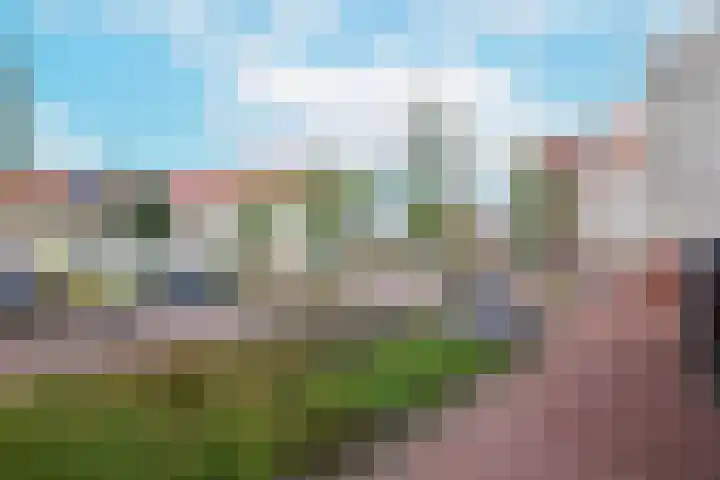 Jonathanhof 24 Amsterdam thumbnail 53