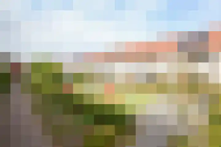 Jonathanhof 24 Amsterdam thumbnail 9
