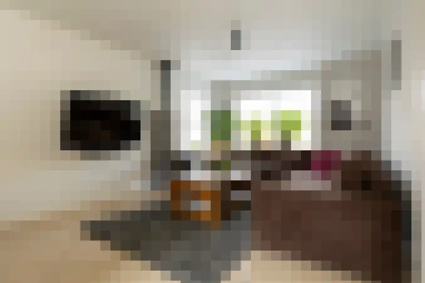 Jonathanhof 30 Maurik thumbnail 14
