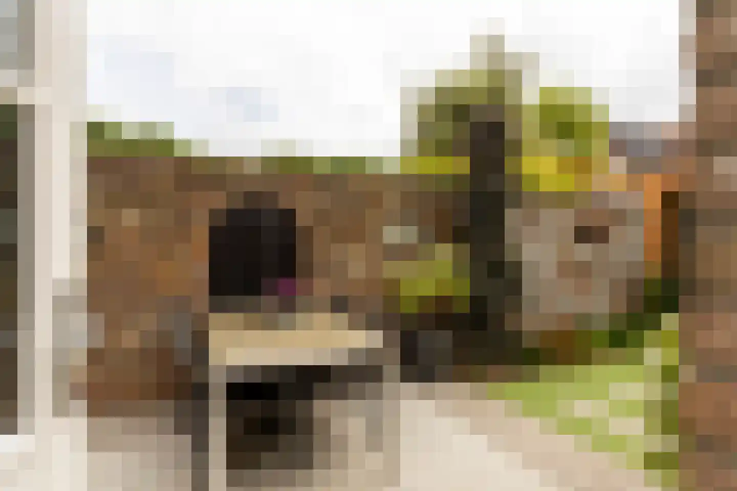 Jonathanhof 30 Maurik thumbnail 30