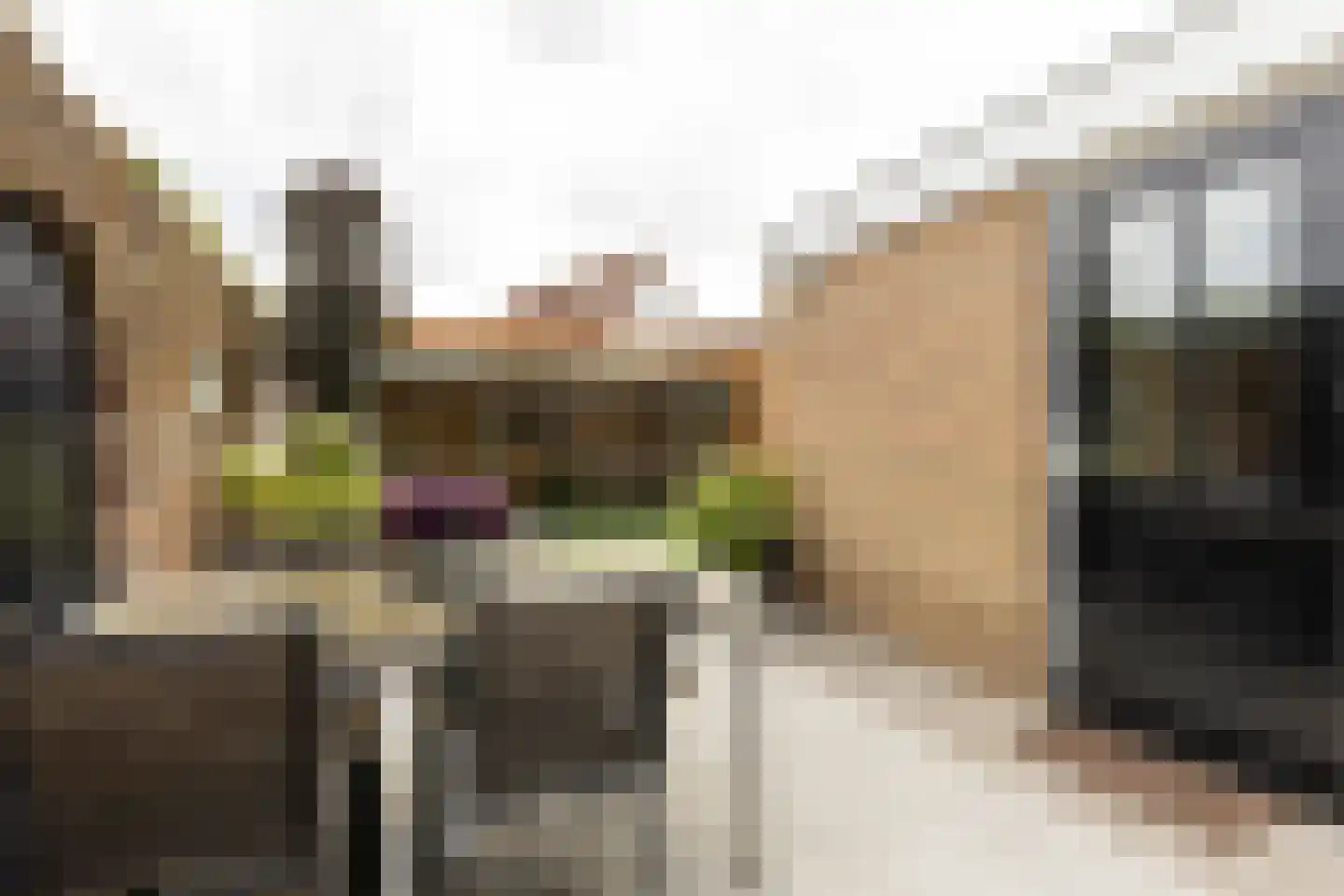Jonathanhof 30 Maurik thumbnail 31