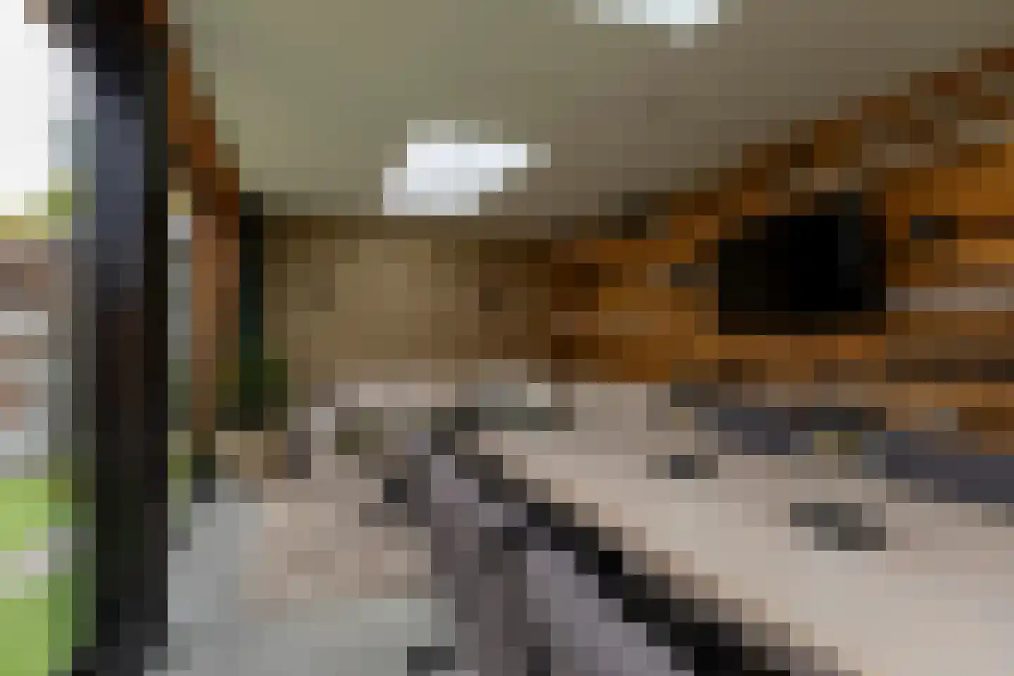 Jonathanhof 30 Maurik thumbnail 39