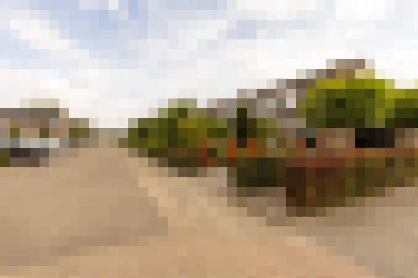 Jonathanhof 30 Maurik thumbnail 5