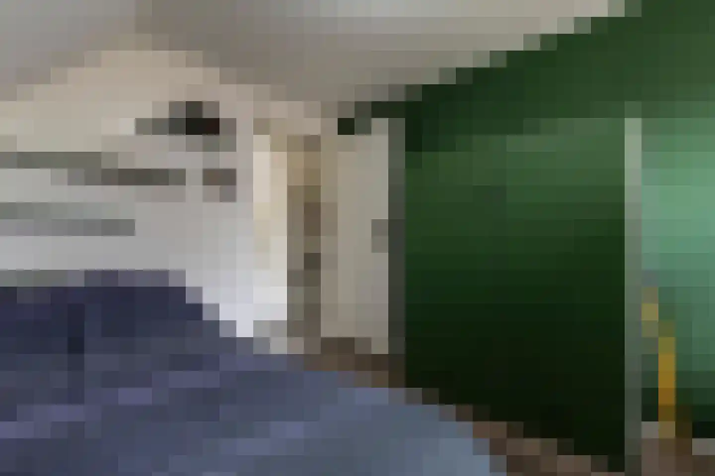 Jonathanhof 30 Maurik thumbnail 59