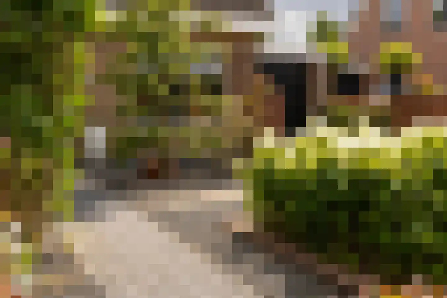 Jonathanhof 30 Maurik thumbnail 6