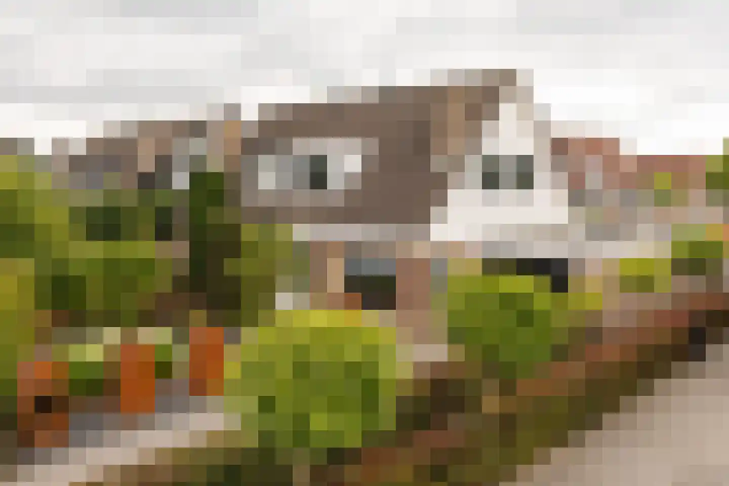 Jonathanhof 30 Maurik thumbnail 62