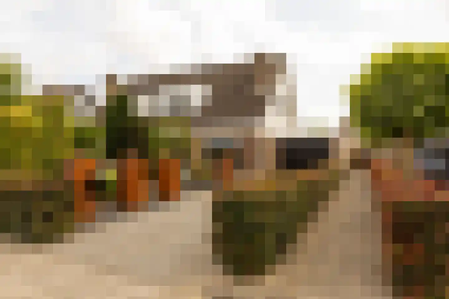 Jonathanhof 30 Maurik thumbnail 9