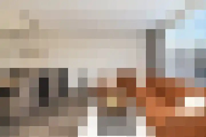 Jonathanlaan 30 Blokker thumbnail 16