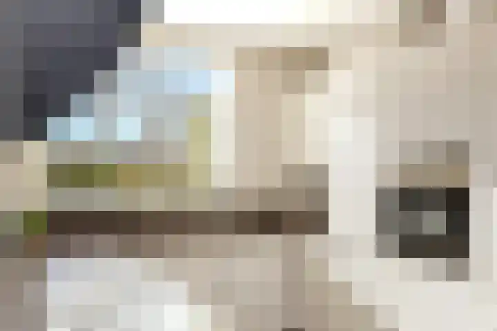 Jonathanlaan 30 Blokker thumbnail 26